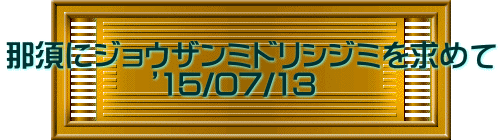 那須にジョウザンミドリシジミを求めて 　　　　　’15/07/13