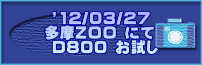  f12/03/27 ZOO ɂ  D800 